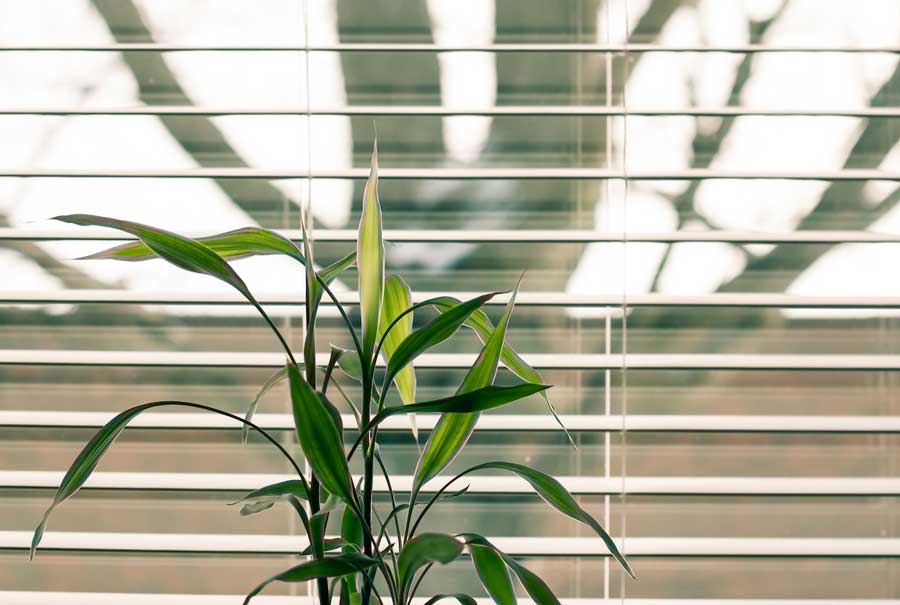 Smart window furnishings to help control your home's temperature