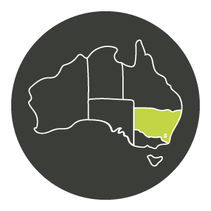 NSW energy certificates