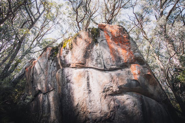 Rock formation in front of gum trees