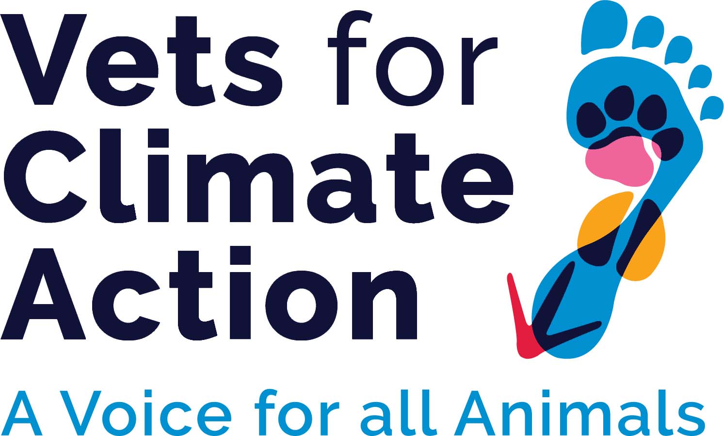 Vets for Climate Action logo